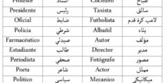 قاموس عربي إسباني دقيق بتقنية متطورة و بدون انترنت